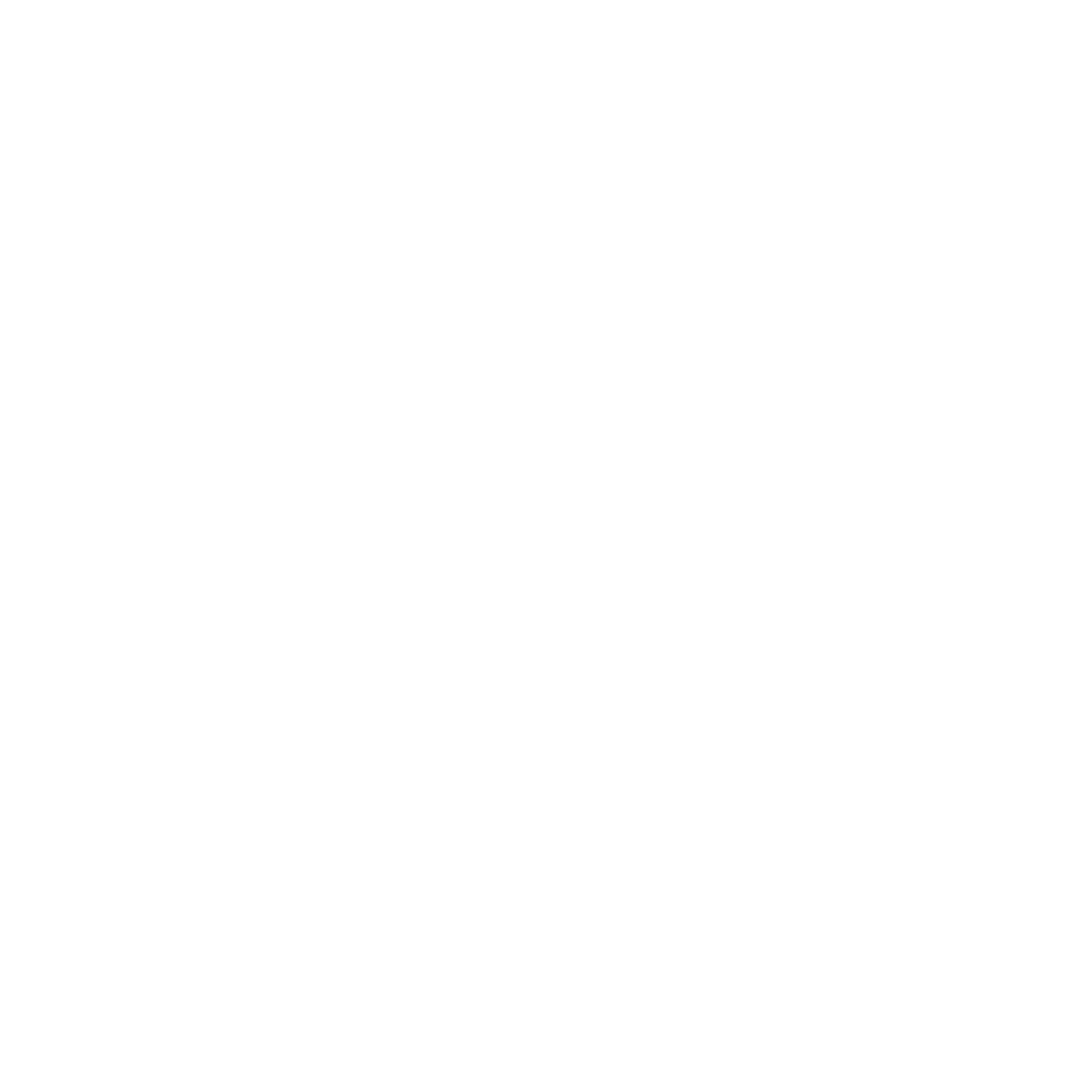 Logo Robert